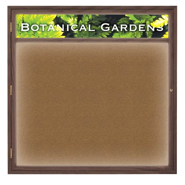 Open Faced Traditional Corkboard, 36x24"